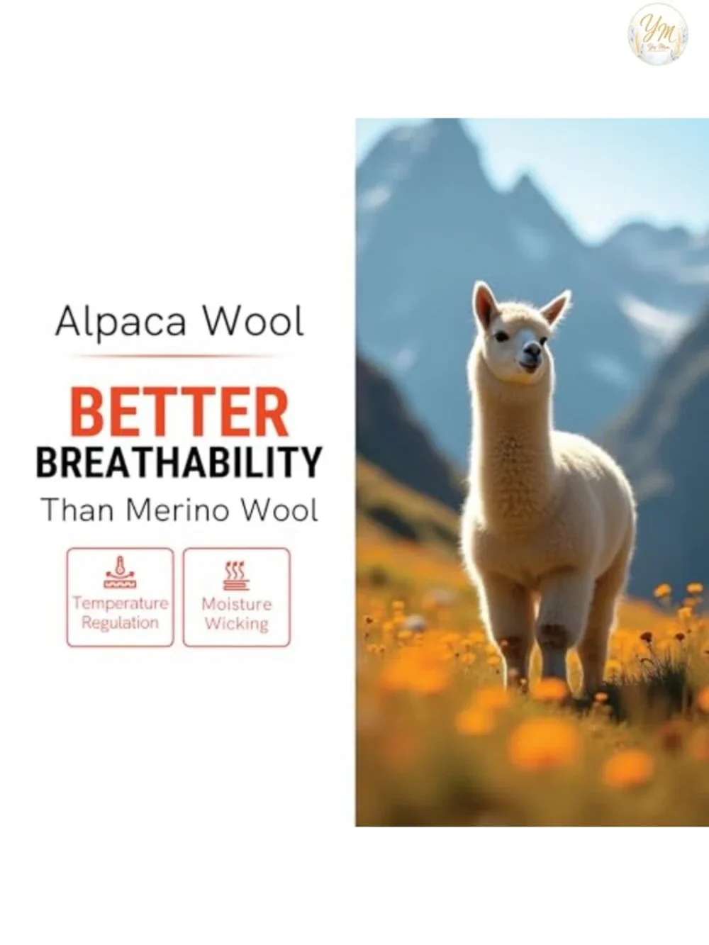 N/A alpaca wool